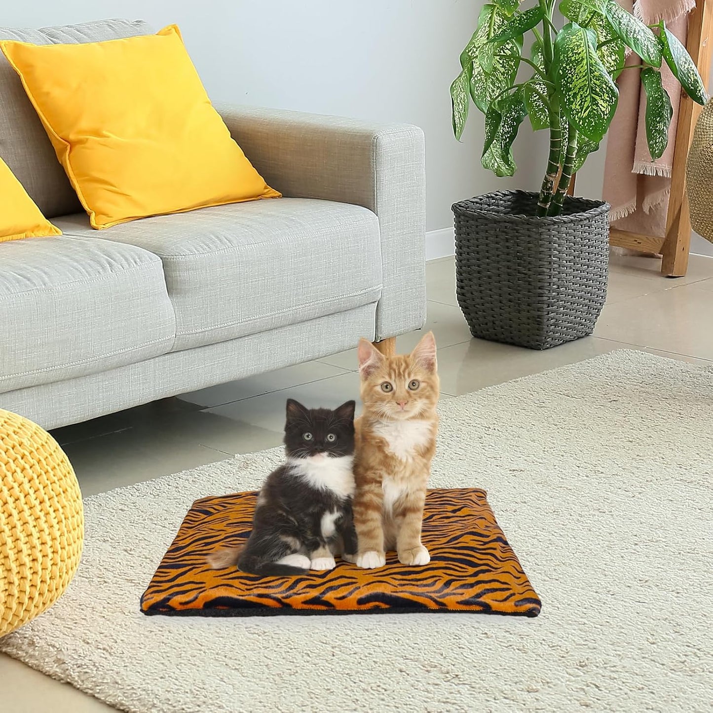 Ultra-Cozy Self-Warming Pet Mat – Thermal Bed for Cats & Dogs, Indoor/Outdoor, Washable & No Electricity Needed