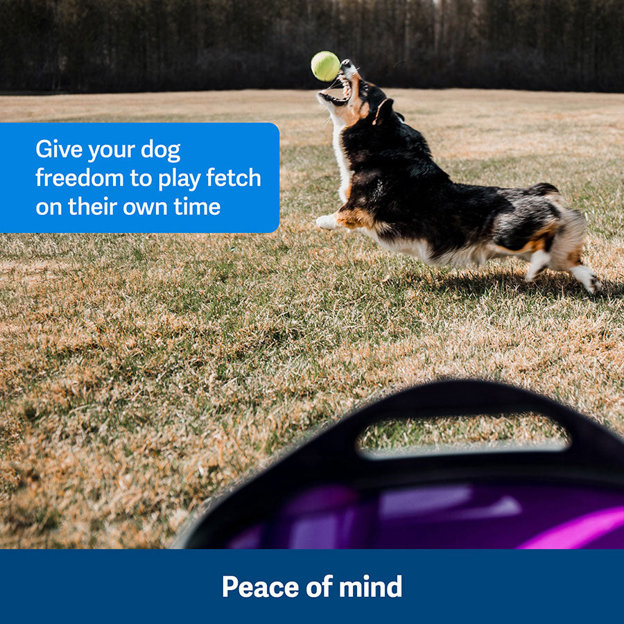 PetSafe Automatic Ball Launcher Dog Toy