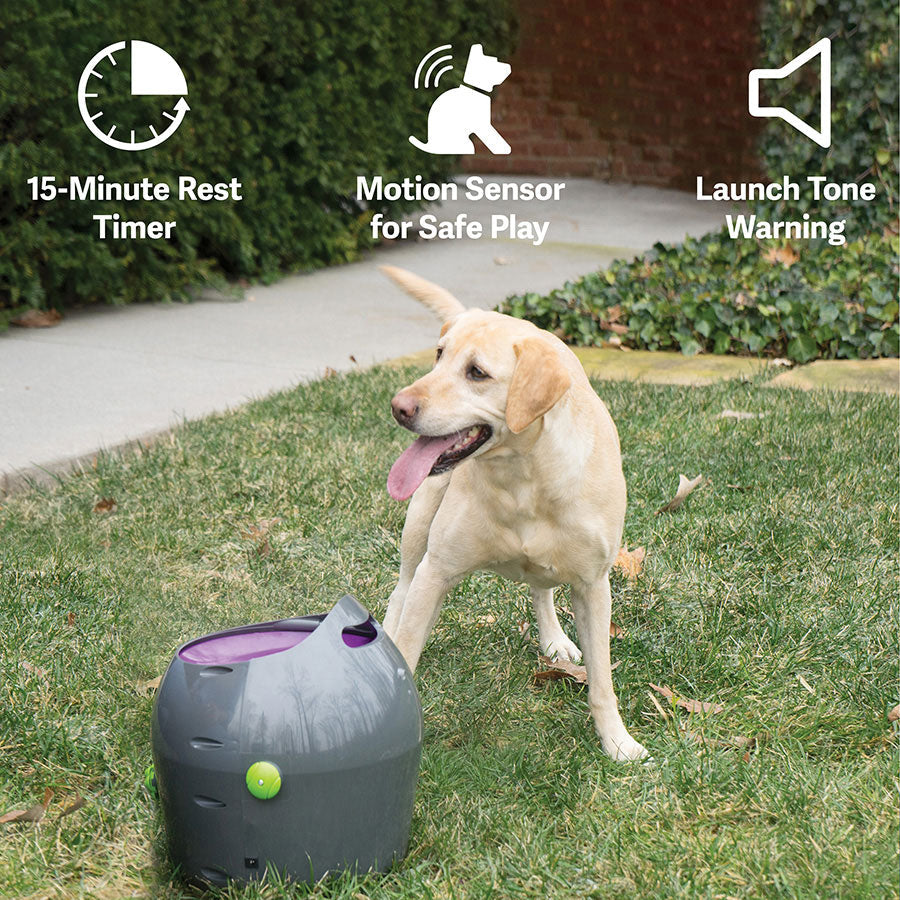 PetSafe Automatic Ball Launcher Dog Toy