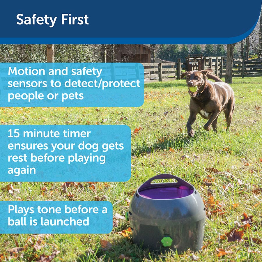 PetSafe Automatic Ball Launcher Dog Toy